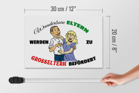 Holzschild Spruch 30x20cm wunderbare Eltern werden Großeltern