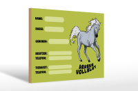 Holzschild Pferd 30x20cm Araber Vollblut Name Besitzer