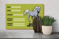 Holzschild Pferd 30x20cm Araber Vollblut Name Besitzer