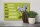 Holzschild Pferd 30x20cm Araber Vollblut Name Besitzer