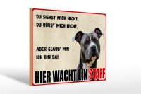 Holzschild Hinweis 30x20cm Hund Hier wacht ein Staff
