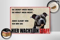 Holzschild Hinweis 30x20cm Hund Hier wacht ein Staff