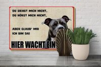Holzschild Hinweis 30x20cm Hund Hier wacht ein Staff