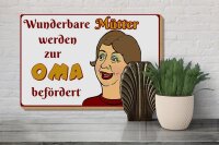 Holzschild Spruch 30x20cm wunderbare Mütter werden Oma