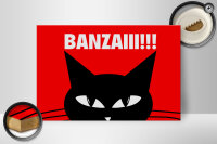 Holzschild Spruch 30x20cm Katze Banzaiii