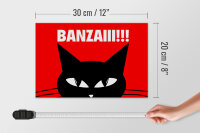 Holzschild Spruch 30x20cm Katze Banzaiii