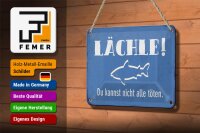 Blechschild Spruch 12x18cm lächle Du kannst nicht alle
