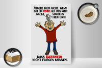 Holzschild Spruch 20x30cm ärgere dich nicht wenn ein Vogel