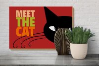 Holzschild Spruch 30x20cm Katze Meet the cat