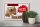 Holzschild Spruch 30x20cm Im Notfall Ruhe Papa anrufen