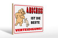 Holzschild Spruch 30x20cm Anschiss ist beste Verteidigung
