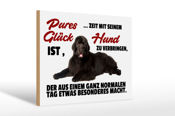 Holzschild Spruch 30x20cm pures Glück ist Zeit mit Hund