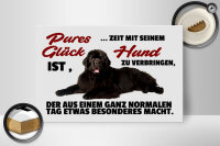 Holzschild Spruch 30x20cm pures Glück ist Zeit mit Hund
