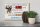 Holzschild Spruch 30x20cm und dann kam da ein Hund