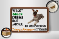 Holzschild Spruch 30x20cm Glück Zwergschnauzer Hund