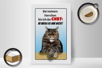 Holzschild Spruch 20x30cm Katze bei meinem Herrchen Chef