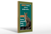Holzschild Spruch 20x30cm Hunde kommen wenn Katzen kommen