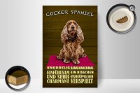 Holzschild Spruch 20x30cm Cocker Spaniel Hund knuddelig