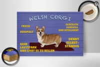 Holzschild Spruch 30x20cm Welsh Corgi Hund frech verspielt