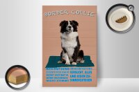 Holzschild Spruch 20x30cm Border Collie Hund intelligent