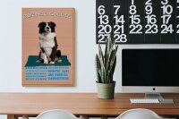 Holzschild Spruch 20x30cm Border Collie Hund intelligent