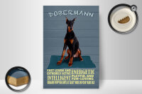 Holzschild Spruch 20x30cm Dobermann Hund fast learn and