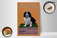 Holzschild Spruch 20x30cm Cavalier King Charles Spaniel orange