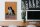Holzschild Spruch 20x30cm Cavalier King Charles Spaniel orange