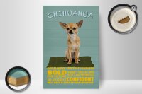 Holzschild Spruch 20x30cm Chihuahua Hund bold confident