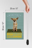 Holzschild Spruch 20x30cm Chihuahua Hund bold confident