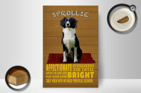 Holzschild Spruch 20x30cm Sprollie Hund intelligent loyal