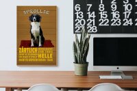 Holzschild Spruch 20x30cm Sprollie Hund zärtlich und treu