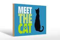 Holzschild Spruch 30x20cm meet the cat Katze
