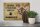 Holzschild Spruch 30x20cm Burma Katze ohne kein Heim