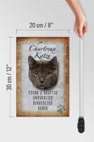 Holzschild Spruch 20x30cm Chartreux Katze stark Schild