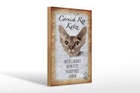 Holzschild Spruch 20x30cm Cornish Rex Katze Schild