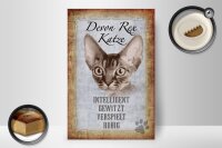 Holzschild Spruch 20x30cm Devon Rex Katze intelligent