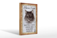 Holzschild Spruch 20x30cm Maine Coon Katze aktiv Schild