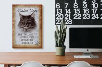 Holzschild Spruch 20x30cm Maine Coon Katze aktiv Schild