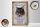 Holzschild Spruch 20x30cm Maine Coon Katze aktiv Schild