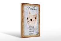 Holzschild Spruch 20x30cm Munchkin Katze lebhaft Schild