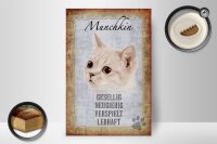 Holzschild Spruch 20x30cm Munchkin Katze lebhaft Schild