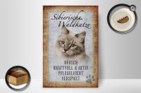 Holzschild Spruch 20x30cm sibierische Waldkatze Katze Wandschild