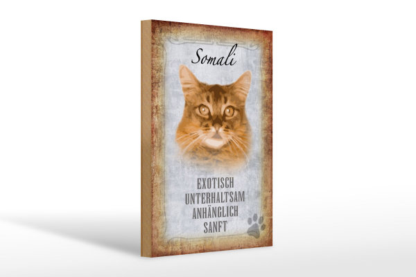 Holzschild Spruch 20x30cm Somali Katze Schild deko