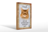 Holzschild Spruch 20x30cm Somali Katze Schild deko