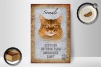 Holzschild Spruch 20x30cm Somali Katze Schild deko