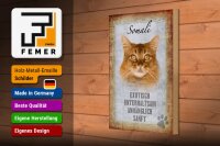 Holzschild Spruch 20x30cm Somali Katze Schild deko