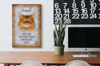 Holzschild Spruch 20x30cm Somali Katze Schild deko