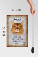 Holzschild Spruch 20x30cm Somali Katze Schild deko
