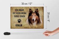 Holzschild Spruch 30x20cm Collie Hund ohne kein Heim